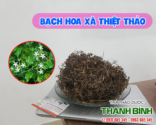 Mua bán bạch hoa xà thiệt thảo tại huyện phúc thọ trị vết thương sưng đau