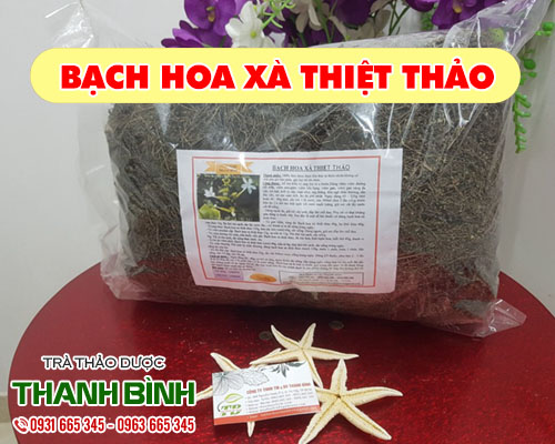 Mua bán bạch hoa xà thiệt thảo tại quận long biên hỗ trợ điều trị viêm họng