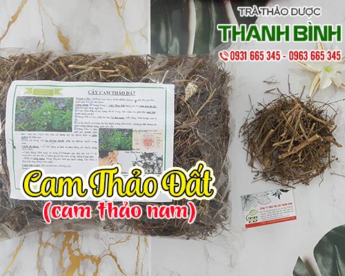 Cam thảo đất điều hòa đường huyết và điều trị viêm họng hiệu quả