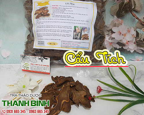 Mua cẩu tích ở đâu tại tphcm ???