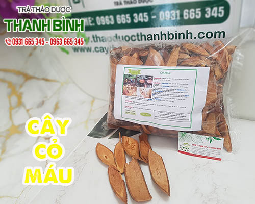Mua bán cây cỏ máu tại tphcm uy tín chất lượng tốt nhất