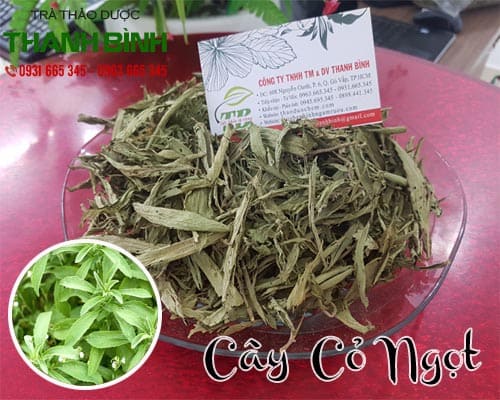 địa chỉ bán cây cỏ ngọt tại tphcm giá tốt nhất - tác dụng của cây cỏ ngọt