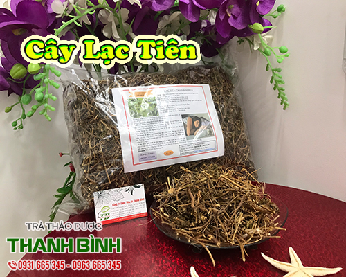 Cây lạc tiên - thần dược trị chứng mất ngủ khởi phát hay kinh niên