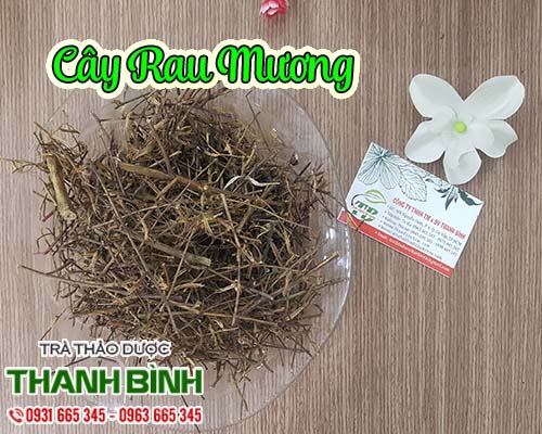 Mua cây rau mương ở đâu tại tphcm ???