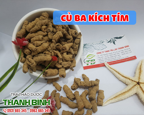 Mua bán củ ba kích tím tại hà nội uy tín chất lượng nhất