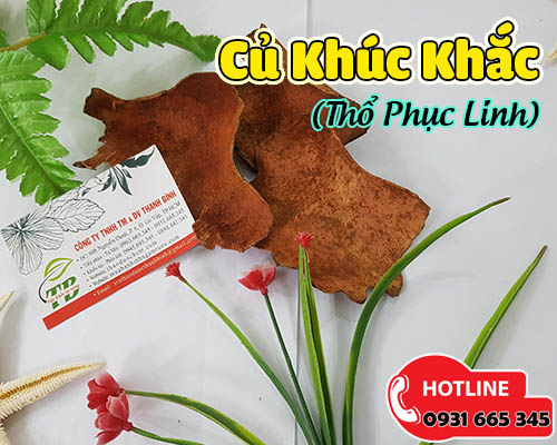 Củ khúc khắc giảm đau nhức xương cốt và điều trị bệnh vảy nến