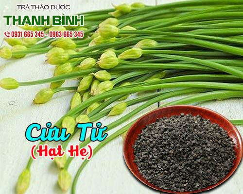 Mua bán cửu tử ở quận thủ đức bổ thận tráng dương, điều hòa kinh nguyệt