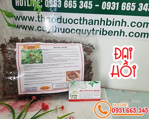 Mua bán đại hồi (hoa hồi) tại quận 1 hỗ trợ điều trị rối loạn tiêu hóa