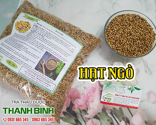 Mua hạt ngò (hạt mùi) giá rẻ uy tín chất lượng nhất ở đâu?