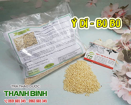 Mua bán ý dĩ tại quận 3 giúp điều trị ho, làm tiêu đờm, dịu cổ họng