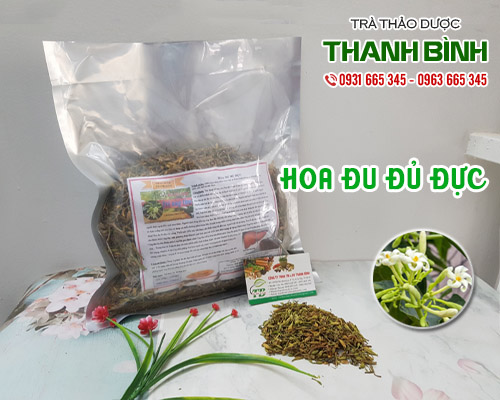 Mua bán hoa đu đủ đực tại quận hai bà trưng giảm viêm đường hô hấp