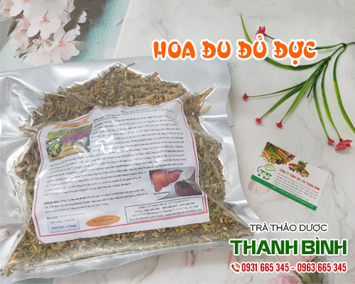 Mua bán hoa đu đủ đực tại huyện ba vì giúp cải thiện hệ tiêu hóa hiệu quả