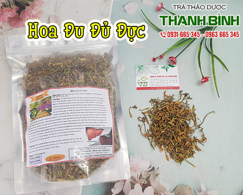 Mua hoa đu đủ đực giá rẻ uy tín chất lượng nhất ở đâu?