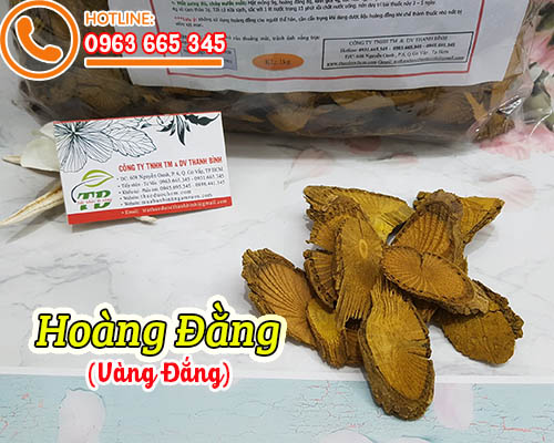 Mua bán hoàng đằng (vàng đắng) ở quận bình thạnh hỗ trợ trị viêm gan, vàng da