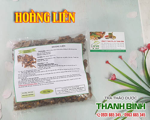 Mua bán hoàng liên tại tphcm uy tín chất lượng tốt nhất