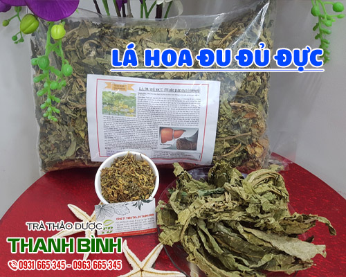 Mua bán lá hoa đu đu đực tại quận hà đông tốt đối với bệnh đái tháo đường