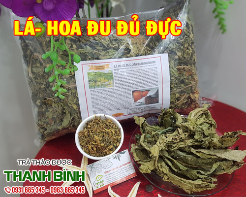 Tác dụng lá hoa đu đủ đực trong điều trị ung thư hiệu quả nhất
