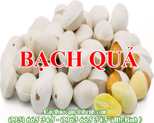 Mua bán bạch quả tại cà mau có tác dụng điều trị ho lâu ngày hiệu quả