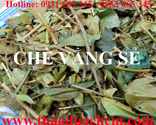 Mua bán chè vằng sẻ tại huyện ứng hòa có tác dụng kích thích tuyến sữa