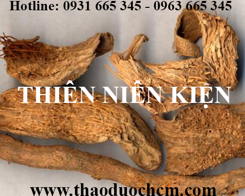 Mua bán thiên niên kiện tại huyện ứng hòa dùng để chữa tê bại rất hiệu quả