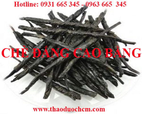 Mua bán chè đắng cao bằng tại quận long biên giúp điều trị cao huyết áp