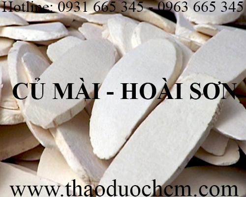 Mua bán hoài sơn tại dak nông có tác dụng điều trị di tinh rất hiệu quả
