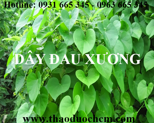 địa điểm bán dây đau xương tại hà nội điều trị đau nhức xương khớp tốt nhất