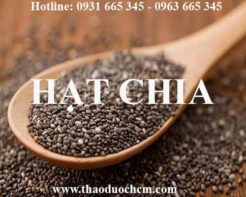 Mua bán hạt chia tại đồng tháp giúp chống ung bướu đường ruột tốt nhất