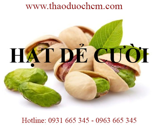 Mua bán hạt dẻ cười tại tiền giang rất tốt trong việc ngăn chặn nhiễm trùng