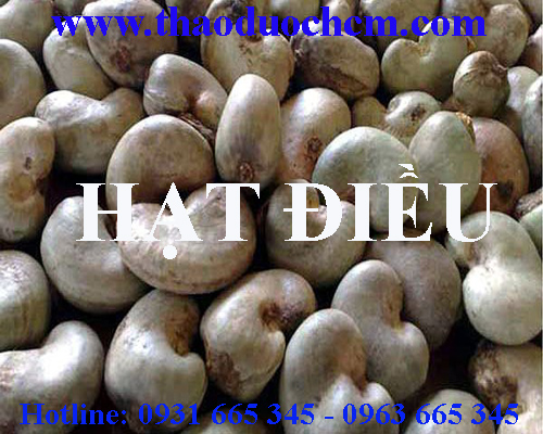 Mua bán hạt điều tại quận 4 có tác dụng phòng chống bệnh tật uy tín 