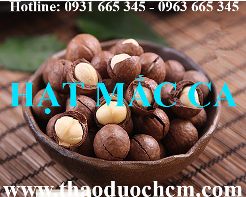 Mua bán hạt mắc ca tại quận đống đa giúp giảm lượng đường trong máu