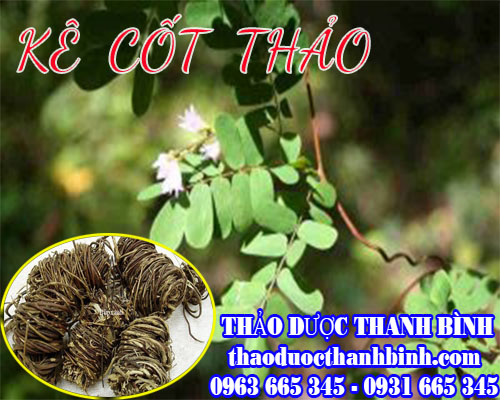 Mua bán kê cốt thảo tại quận tây hồ có tác dụng điều trị viêm gan cấp