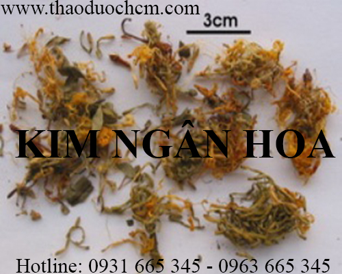 Mua bán kim ngân hoa tại huyện thường tín hỗ trợ thanh nhiệt giải độc
