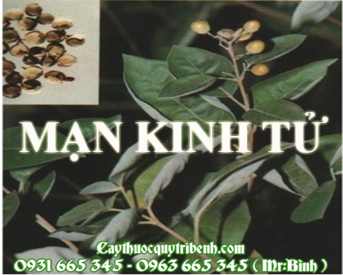 Mua mạn kinh tử ở đâu tại tp hcm ???