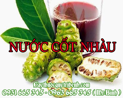 Mua bán nước cốt nhàu tại thái bình có công dụng giúp an thần hiệu quả
