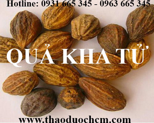 Tác dụng của quả kha tử trong điều trị ngộ độc do thức ăn tốt nhất