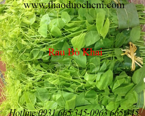 Mua bán rau bò khai tại quận 1 có tác dụng điều trị bệnh viêm gan siêu vi