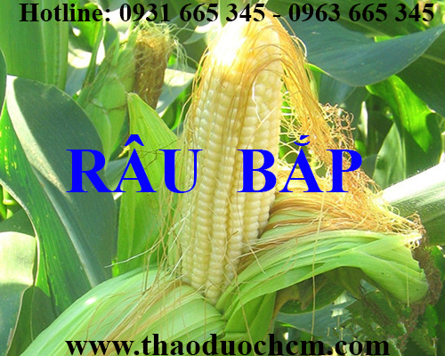 Mua bán râu ngô tại quận hà đông giúp có tác dụng thanh nhiệt giải độc