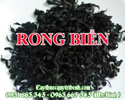 Mua bán rong biển tại quận 11 rất tốt trong việc giảm cholesterol 