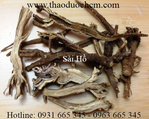 Mua bán sài hồ tại quận 7 có tác dụng điều trị suy nhược thần kinh
