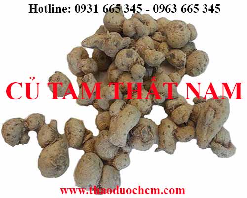 Mua bán củ tam thất nam tại huyện mê linh có công dụng làm sáng mắt