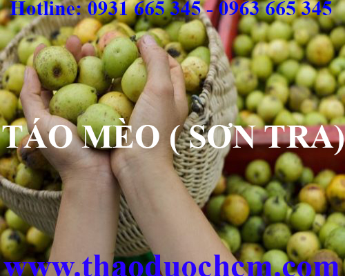 Mua bán quả táo mèo tại quận ba đình giúp giảm cân hiệu quả nhất