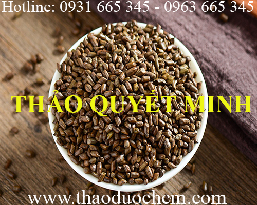 Mua bán hạt thảo quyết minh tại hòa bình rất tốt đối với người cao huyết áp