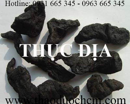 Mua bán thục địa tại hà nội uy tín chất lượng tốt nhất