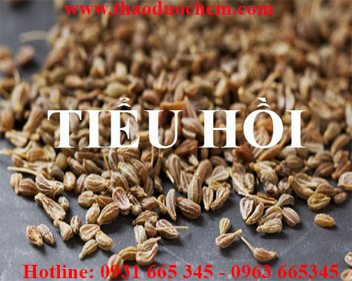 Mua tiểu hồi ở đâu tại tp hcm ???