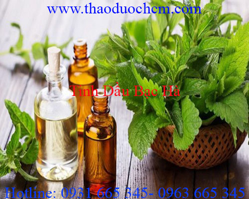 Mua bán tinh dầu bạc hà tại phú yên hỗ trợ làm lưu thông khí huyết 