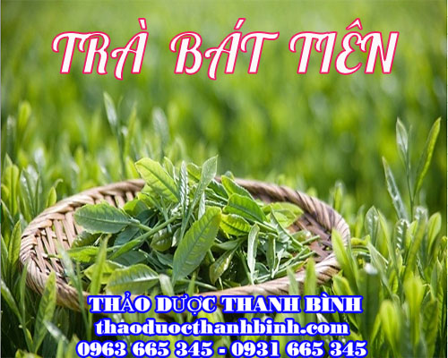 Mua trà bát tiên ở đâu tại hà nội ???