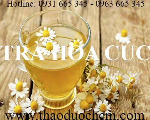 Mua bán trà hoa cúc khô tại quận ba đình giúp thanh nhiệt giải độc tốt nhất