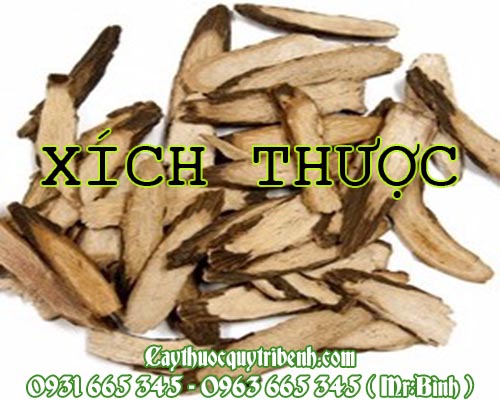 Mua bán xích thược tại huyện hoài đức có tác dụng điều trị mụn nhọt