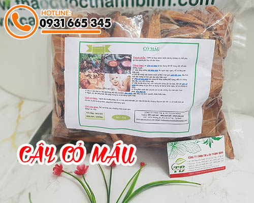 Công dụng của cây cỏ máu trong điều trị thiếu máu, da xanh xao hiệu quả